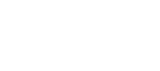 NVCAPSOL